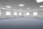 Tieriskylights-3.jpg; ?>